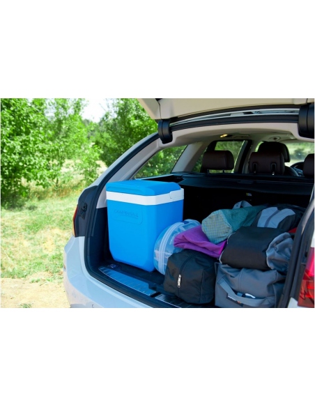 Refrigerators Campingaz Icetime Plus 30 L