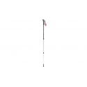 Trekking Poles Robens Keswick T6 Trekking Poles