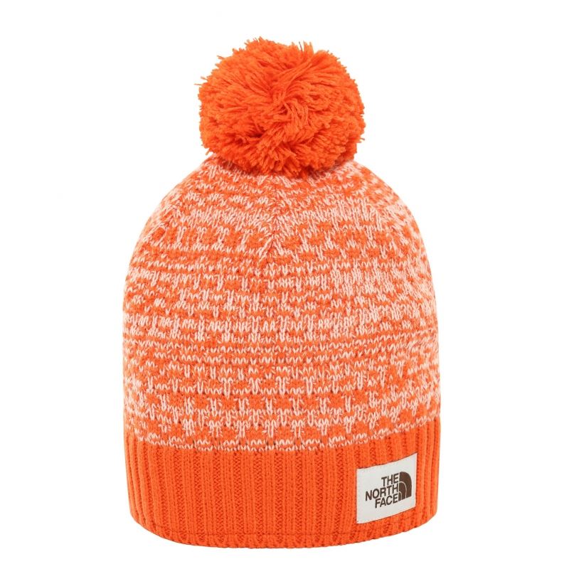 the north face windwall beanie