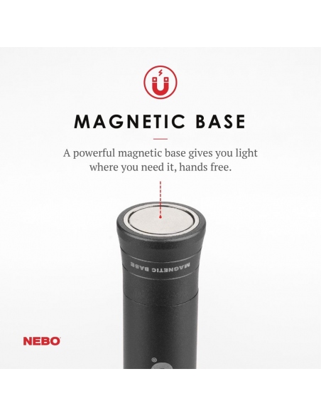 Flashlights Nebo Big Larry 2