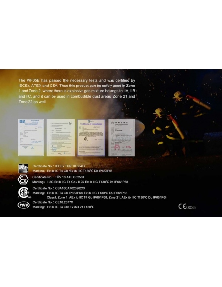 Flashlights Fenix WF05E Intrinsically Safe Flashlight