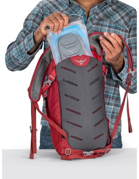Backpacks Osprey Daylite Plus 20L Backpack