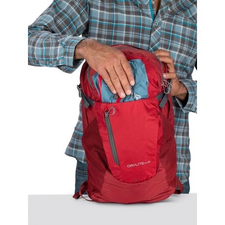 Backpacks Osprey Daylite Plus 20L