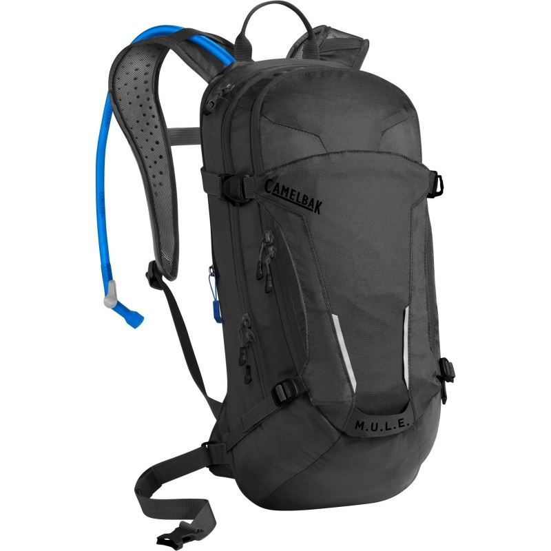 swiss gear camelbak