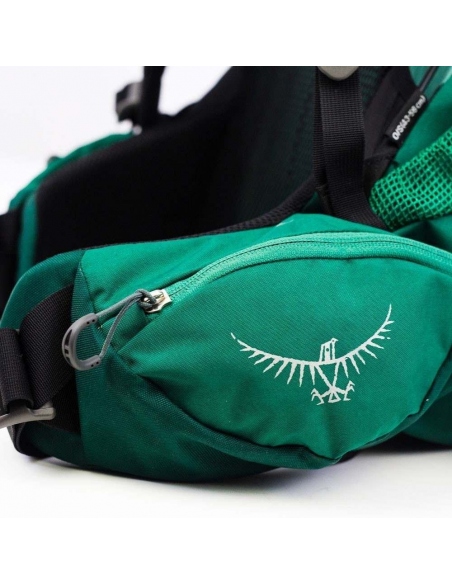 Hiking Backpacks Osprey Rook 65 Backpack
