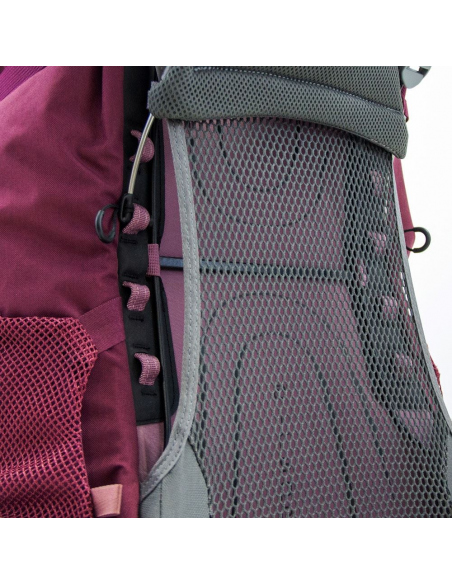 Hiking Backpacks Osprey Renn 65 Backpack