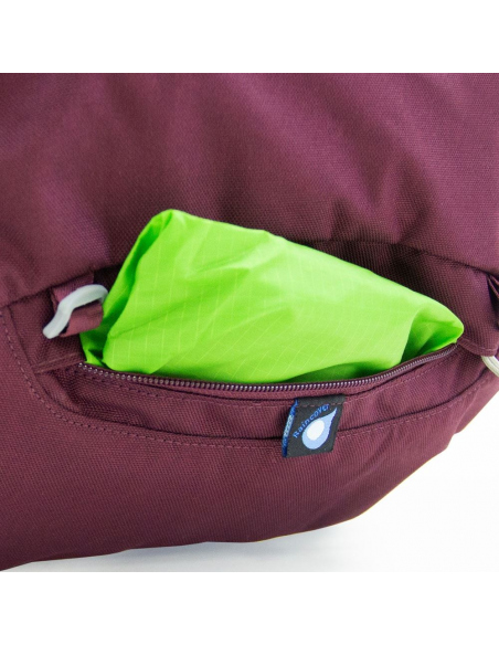 Hiking Backpacks Osprey Renn 65 Backpack