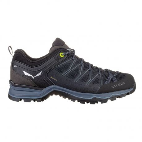 Boots - Hiking Shoes Salewa Men's Mountain Trainer Lite GTX Black