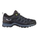 Boots - Hiking Shoes Salewa Men's Mountain Trainer Lite GTX Black