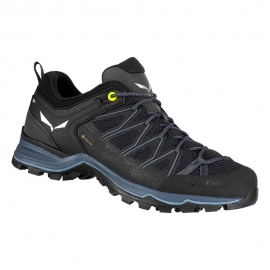 Boots - Hiking Shoes Salewa Men's Mountain Trainer Lite GTX Black 2