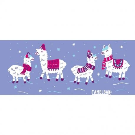 Υδροδοχεία - Θερμός - Παγούρια Παγούρι Camelbak Eddy Kids .4L Happy Llama Days