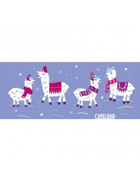 Υδροδοχεία - Θερμός - Παγούρια Παγούρι Camelbak Eddy Kids .4L Happy Llama Days