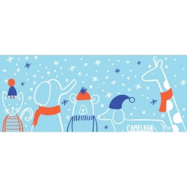 Υδροδοχεία - Θερμός - Παγούρια Παγούρι Camelbak Eddy Kids .4L Winter Buddies 2