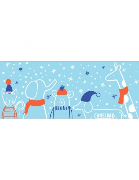 Υδροδοχεία - Θερμός - Παγούρια Παγούρι Camelbak Eddy Kids .4L Winter Buddies