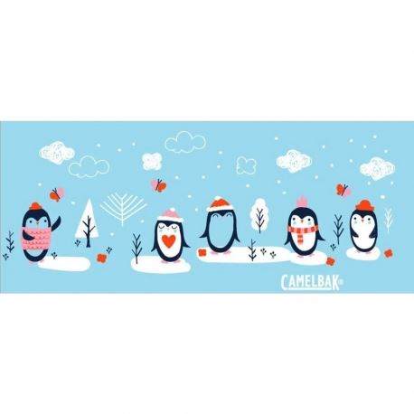 Υδροδοχεία - Θερμός - Παγούρια Παγούρι Camelbak Eddy Kids .4L Sweet Penguins