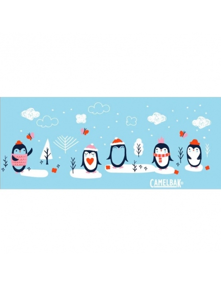 Υδροδοχεία - Θερμός - Παγούρια Παγούρι Camelbak Eddy Kids .4L Sweet Penguins