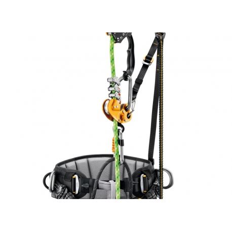 Harnesses Petzl Sequoia SRT Harness