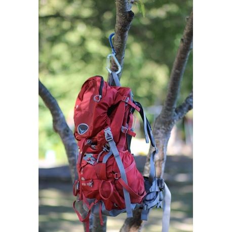 Carabiners Qlipter Carabiner With Hook