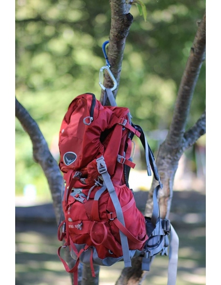 Carabiners Qlipter Carabiner With Hook