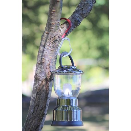 Carabiners Qlipter Carabiner With Hook