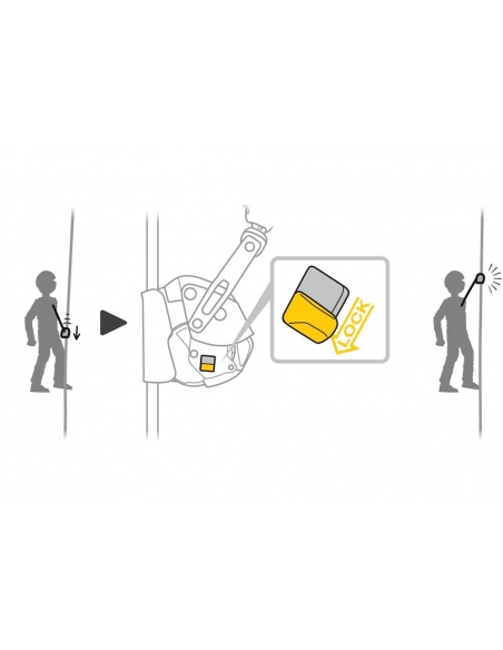 Carabiners Petzl ASAP Lock