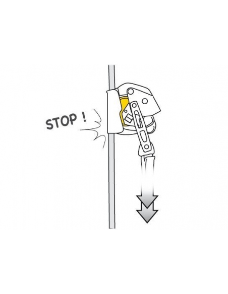 Carabiners Petzl ASAP Lock