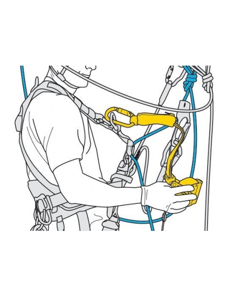 Carabiners Petzl ASAP Lock