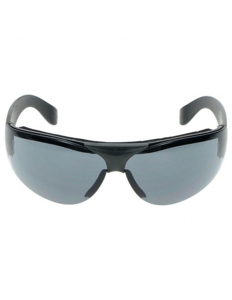 Eyewear Swiss Eye Outbreak Protector
