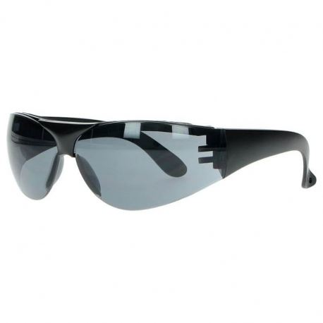 Eyewear Swiss Eye Outbreak Protector