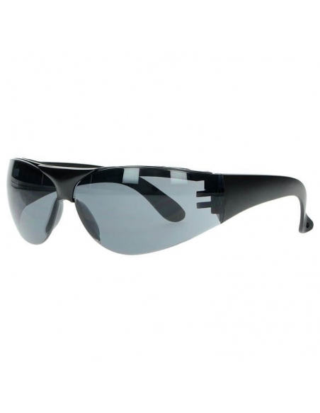 Eyewear Swiss Eye Outbreak Protector