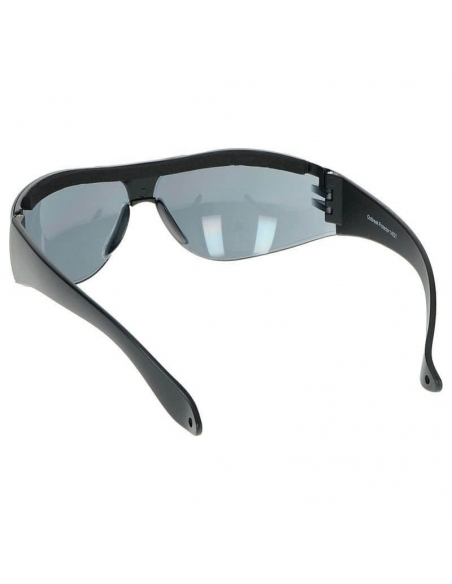 Eyewear Swiss Eye Outbreak Protector