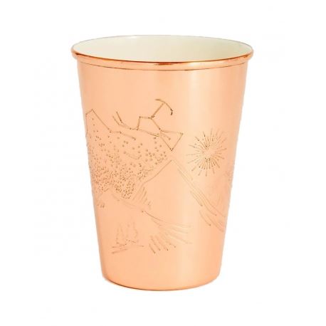 Mountain Gaze Enamel Lined Copper Tumbler