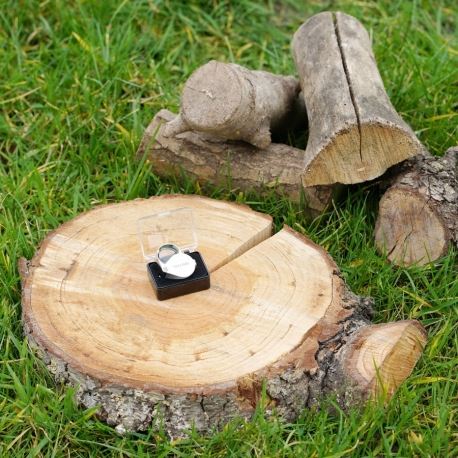 Μεγεθυντικοί Φακοί Μεγεθυντικός Φακός Triplet 10 x 21