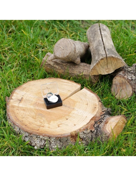 Μεγεθυντικοί Φακοί Μεγεθυντικός Φακός Triplet 10 x 21