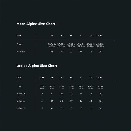 Vests Alpine Men's Down Gilet