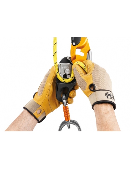 Ascenders - Descenders Petzl Rig Descender