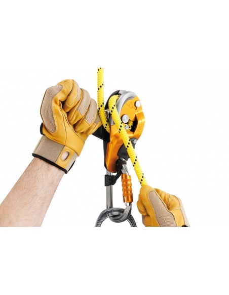Ascenders - Descenders Petzl Rig Descender