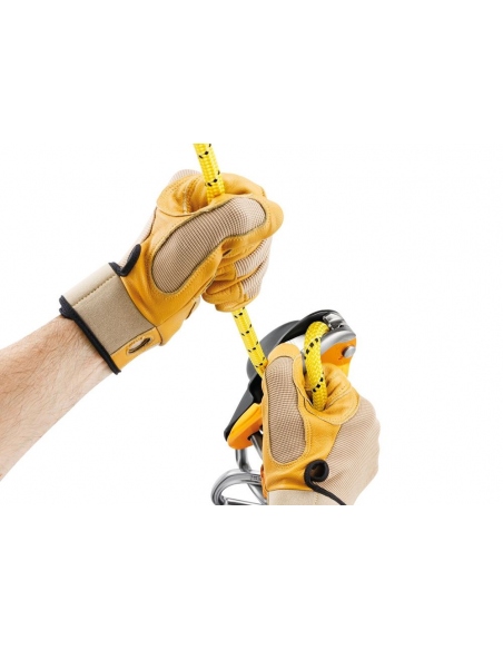 Ascenders - Descenders Petzl Rig Descender