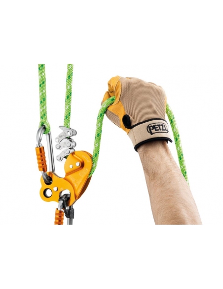 Pulleys Petzl Zigzag