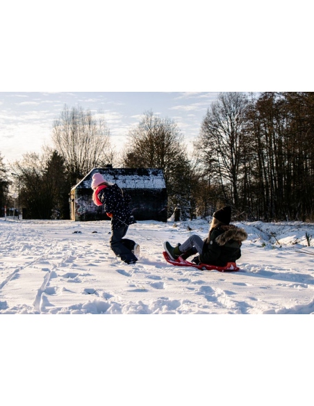 Sledges Sledge Plastic Ufo