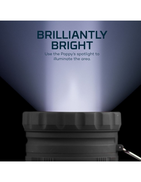 Lanterns Nebo Poppy 300 Lumens