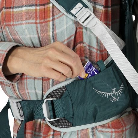 Σακίδια Ορειβατικά Osprey Poco LT Child Carrier