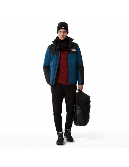 Daypacks Backpack The North Face Surge 33L