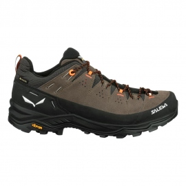 Boots - Hiking Shoes Salewa Men's Alp Trainer 2 GTX Bungee