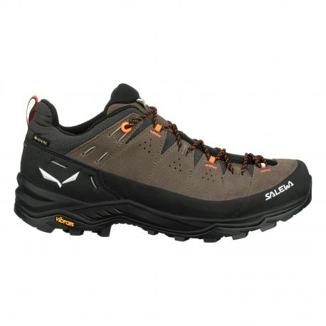 Boots - Hiking Shoes Salewa Men's Alp Trainer 2 GTX Bungee