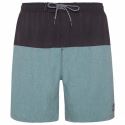 Men's Swimsuits - Swimshorts & Rashguards Protest Boydin Beachshort