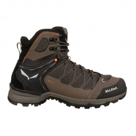 Boots - Hiking Shoes Salewa Men's Mountain Trainer Lite Mid GTX Bungee