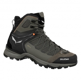 Boots - Hiking Shoes Salewa Men's Mountain Trainer Lite Mid GTX Bungee 2