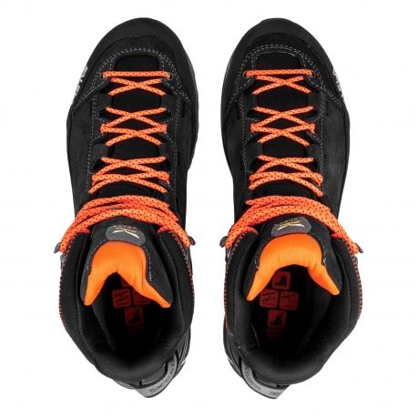 Boots - Hiking Shoes Salewa Men's Mountain Trainer 2 Mid GTX Onyx