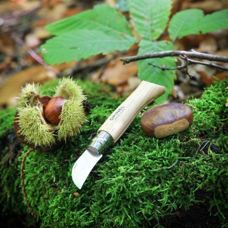 Pocketknifes Opinel No 7 Chestnut & Garlic